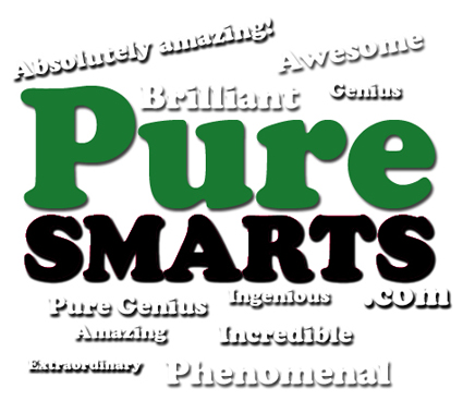 A once in a lifetime investment opportunity.  PureSmarts.com